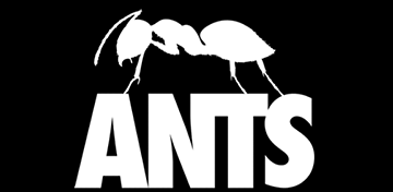 ANTS - Žaidimo